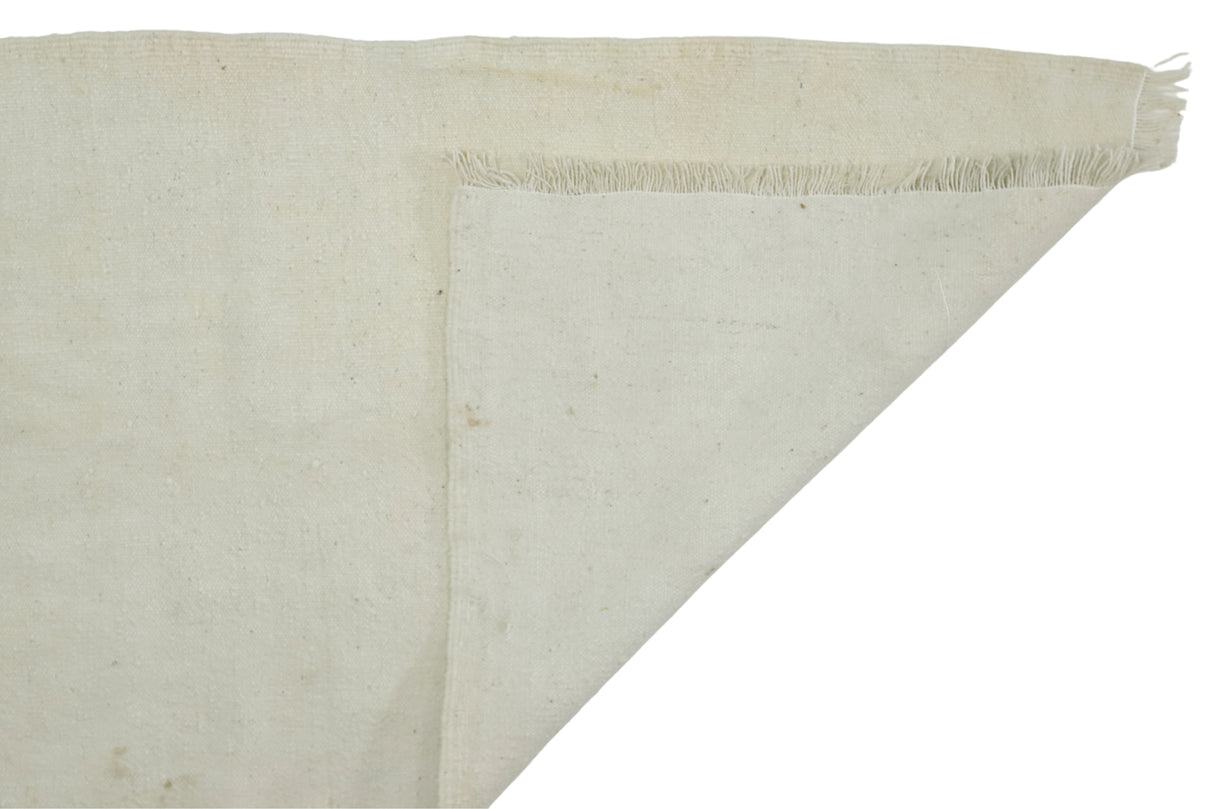 Ekeciktol / 2x10 Beige Bohemian Kilim Runner Back Side