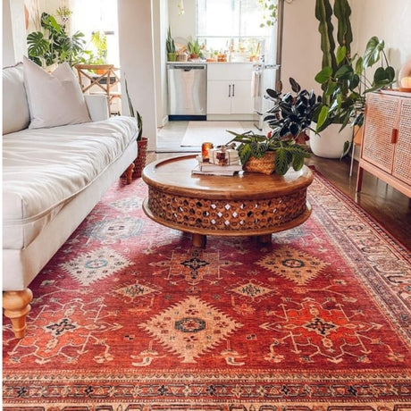 A living room with an ethnic and traditional patterned vintage rug on the floor, a round wooden table with green plants on top, and a white sofa nearby.